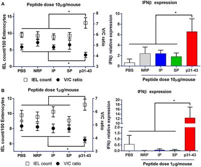 p31-43 Gliadin Peptide Forms Oligomers and Induces NLRP3 Inflammasome/Caspase 1- Dependent Mucosal Damage in Small Intestine